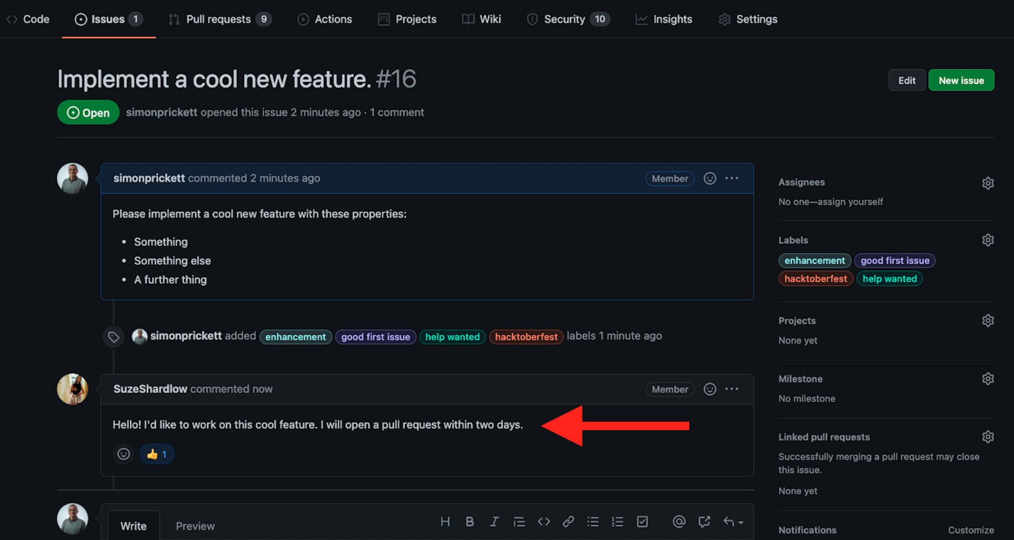 Example Issue