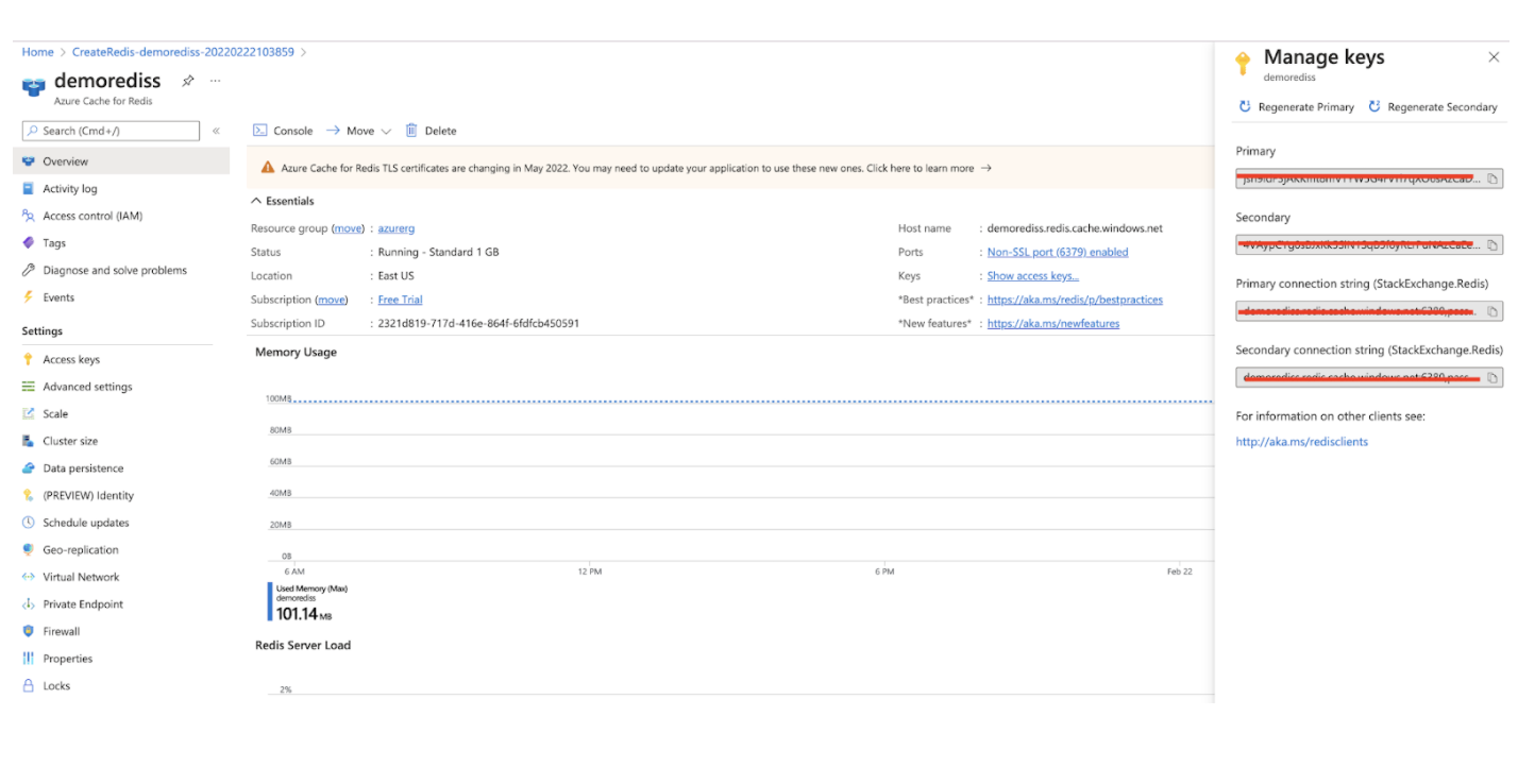Redis Instance up and running