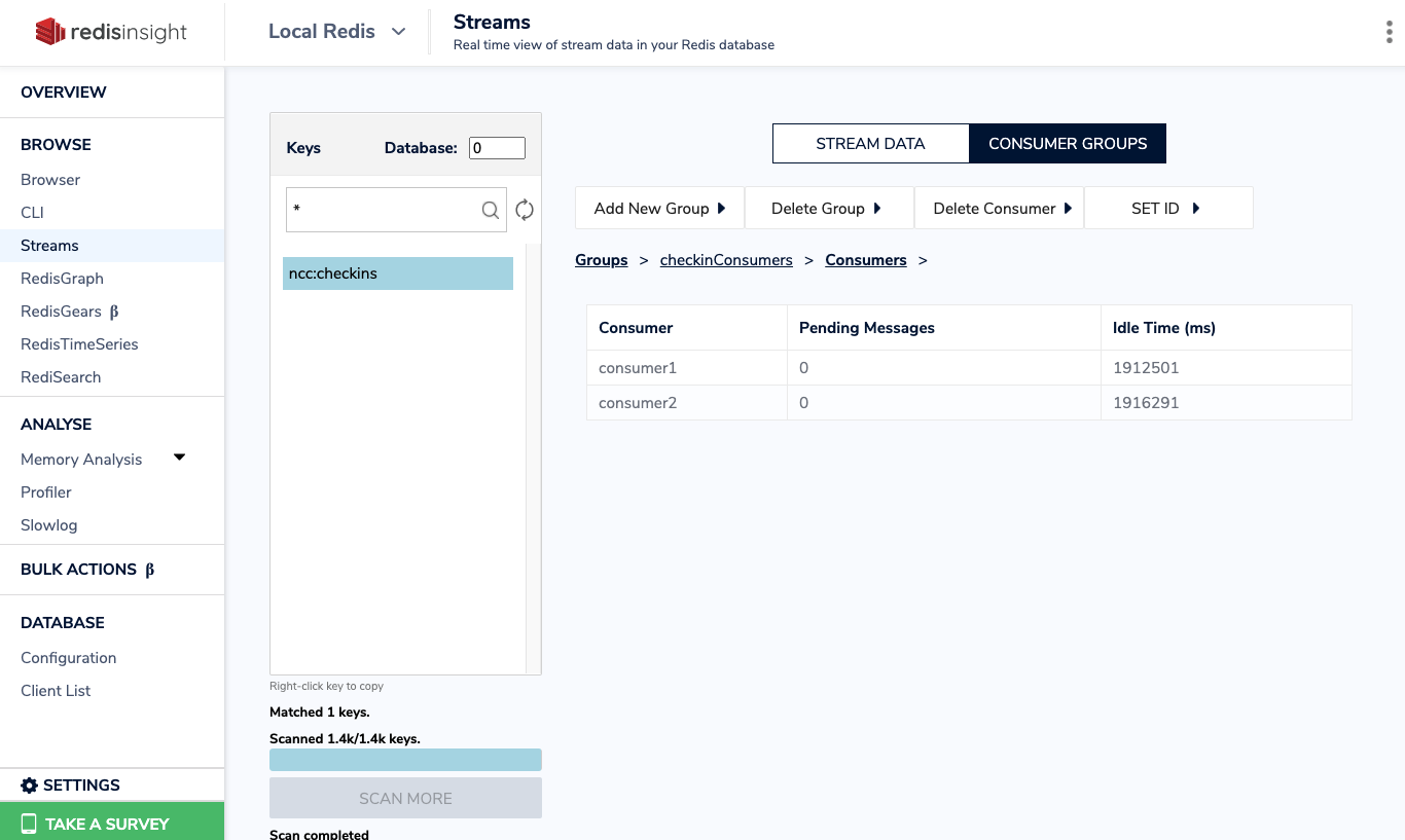 RedisInsight Consumer Groups Detail